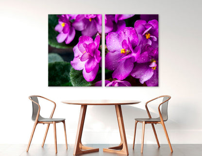 Violets Canvas Print #7560