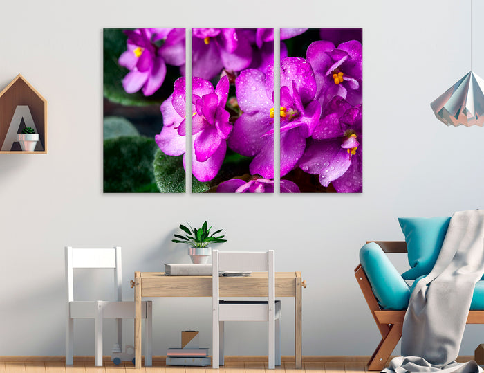 Violets Canvas Print #7560