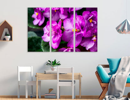 Violets Canvas Print #7560