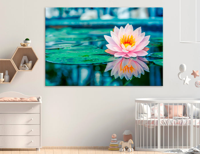 Water Lily Canvas Print #7558