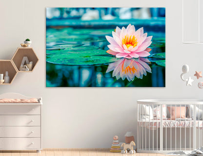 Water Lily Canvas Print #7558