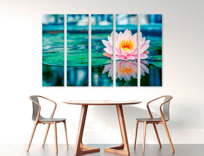 Water Lily Canvas Print #7558