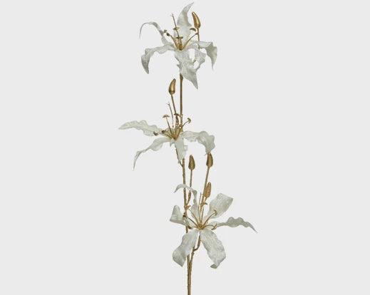 White Velvet Gloriosa Stem