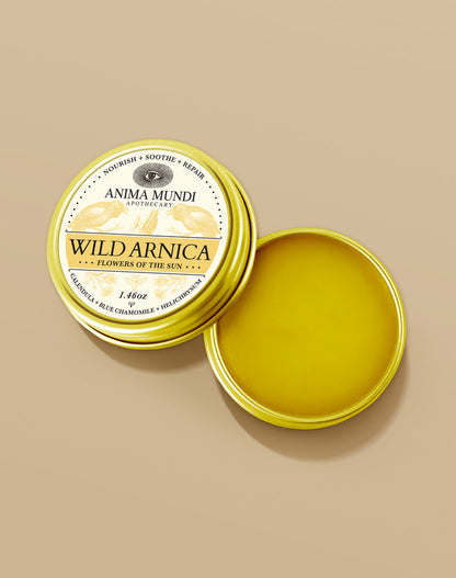 Open tin of Anima Mundi Wild Arnica balm on a beige background