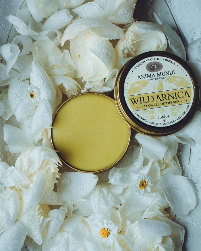 Two tins of Anima Mundi Wild Arnica on a bed of white flowers