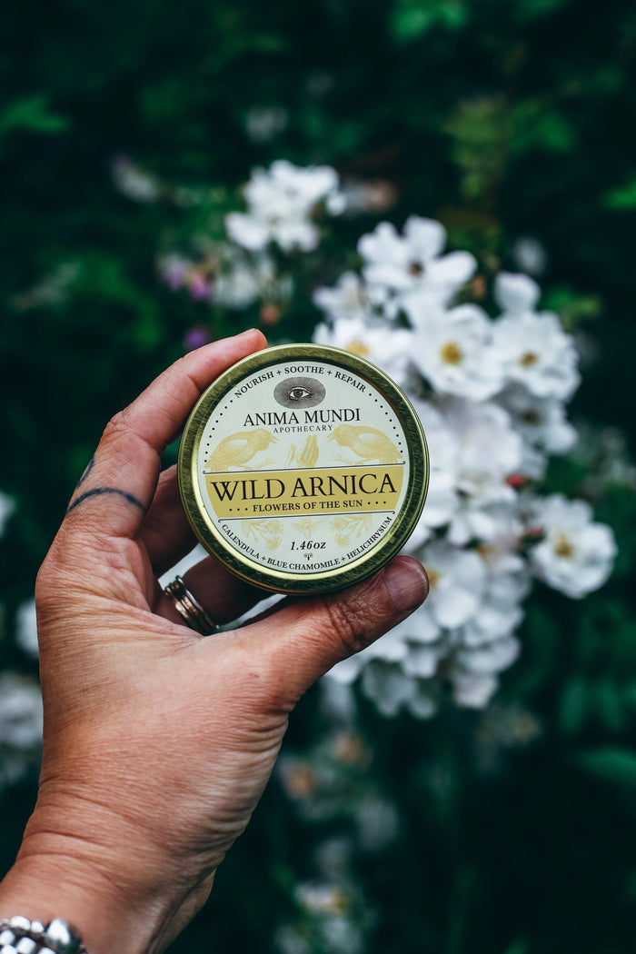 Hand holding a container of Anima Mundi Wild Arnica against a natural background with white flowers.