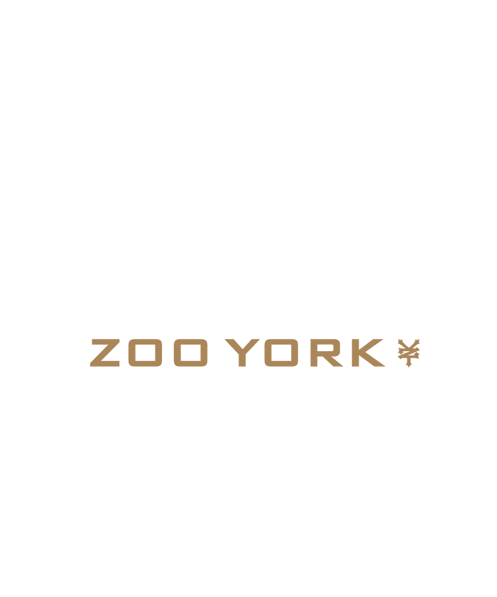 Zoo York 93 Athletic Style Nueva York Logo T-Shirt