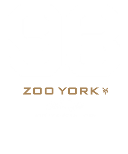 Zoo York 93 Athletic Style Nueva York Logo T-Shirt